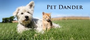 Pet Dander
